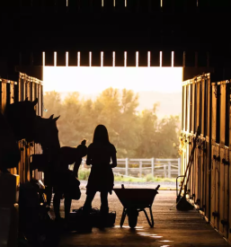 Pocitniski tabor za otroke ljubljana