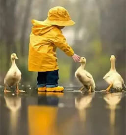 Predšolska vzgoja otrok Ljubljana