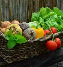Prodaja ekoloskega sadja in zelenjave ponikva