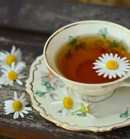 Prodaja in pridelava sladkega pelina slovenija