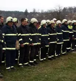 Pomoč gasilcev Dolenjske Toplice