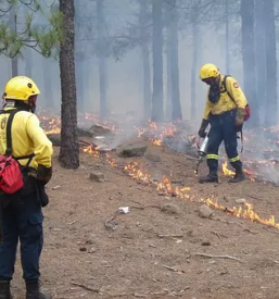 Prostovoljno gasilsko drustvo lendava