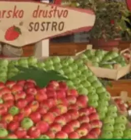 Vrtnarsko društvo