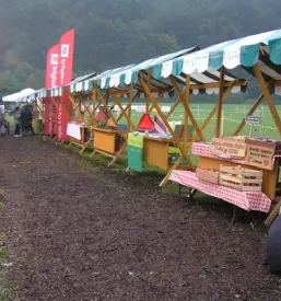 Sadjarsko društvo Sostro
