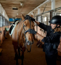 Učenje jahanja za odrasle
