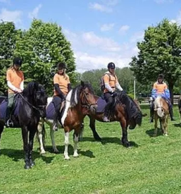 Sportno rekreativni piknik center trebnje