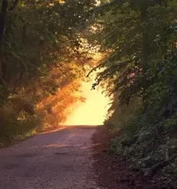 Turistično društvo Videm