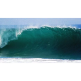 MIROSLAV NEŠIĆ - SOBODAJALEC