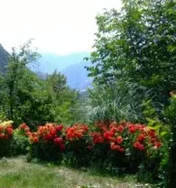Ugoden najem apartmaja Tolmin