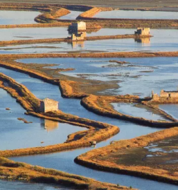 Ugoden prevoz oseb portoroz