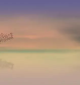 Ugodne zvocne kopeli domzale