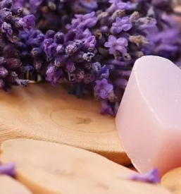 Ugodni apartmaji lucija