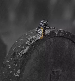 Ugodni nagrobni spomeniki Izola, Obala