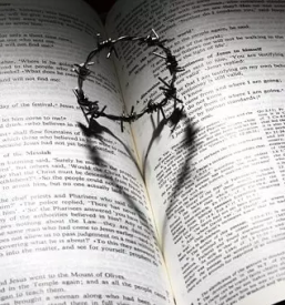 Zupnija catez ob savi