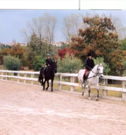 Sola jahanja in trening konj koper okolica primorska