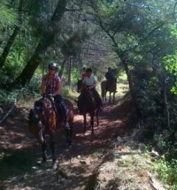 Sola jahanja in trening konj koper okolica primorska