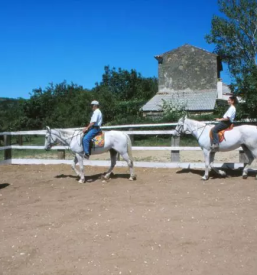 Sola jahanja in trening konj koper okolica primorska
