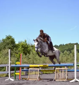Trening konj in sola jahanja koper okolica primorska