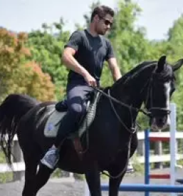 Trening konj in sola jahanja koper okolica primorska