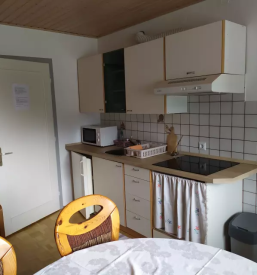 Ugoden najem apartmaja mojstrana