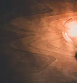 Veleprodaja zarnic in svetil slovenija