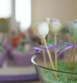 Animacija za poroke Ljubljanaokolica