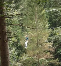 Design and production of adventure parks slovenia