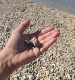 Dober psihoterapevt ljubljana okolica