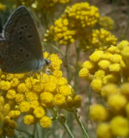 Dober psihoterapevt ljubljana okolica