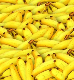 Kamionski prevozi sadja slovenija evropa