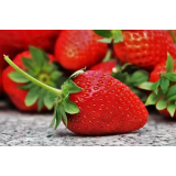 GV TRANSPORT, GORAN VASIĆ S.P.