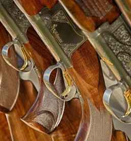 Lov na gamsa v sloveniji