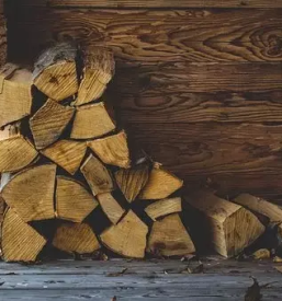 Posek lesa Osrednja Slovenija