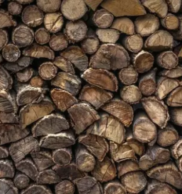 Gozdarstvo Osrednja Slovenija