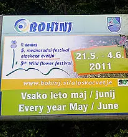 Reklamni napisi lesce