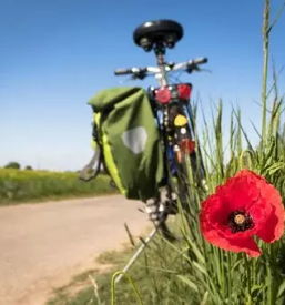 Spletna prodaja kolesarskih prirocnikov slovenija