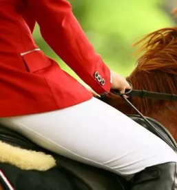 Svetovanje o dresurnem jahanju primorska