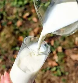 Ugodni prevozi mleka in mlecnih izdelkov v sloveniji