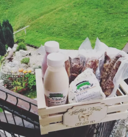 Domaci mlecni izdelki zasavje