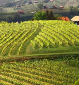 Nastanitve na turisticni kmetiji bizeljsko