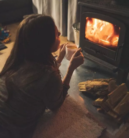 Prodaja drv branik Goriška