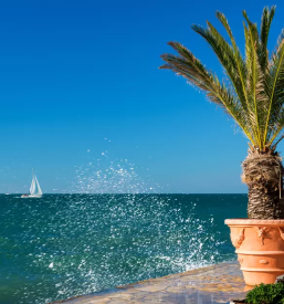 Ugoden najem apartmaja v izoli