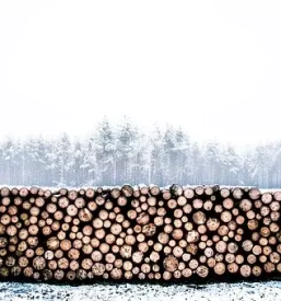 Ugodna secnja in spravilo lesa ruse