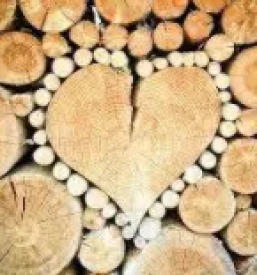 Ugodna secnja in spravilo lesa ruse