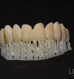 Popravilo proteze Ljubljana, Osrednja Slovenija