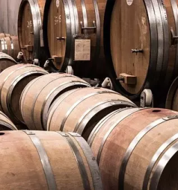 Kvalitetna bela vina Kras