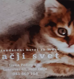 Poceni mačji hotel Celje