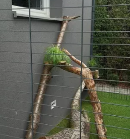 Ugoden mačji hotel Celje