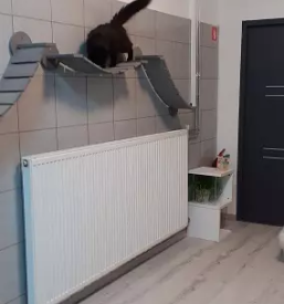 Hotel za domače živali Celje