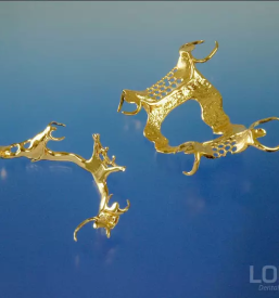 Kvalitetno popravilo proteze Ljubljana